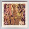 art 1995 Elizabeth Lennard 3  (verso blanc).jpg