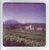 ¥Õ¥¡¥¤¥ë̾ : campagne alsacienne.jpg
¥Õ¥¡¥¤¥ë¥µ¥¤¥º : 198KB
Â礤µ : 604x616
ÅÐÏ¿Æü : 2007ǯ02·î05Æü campagne alsacienne.jpg